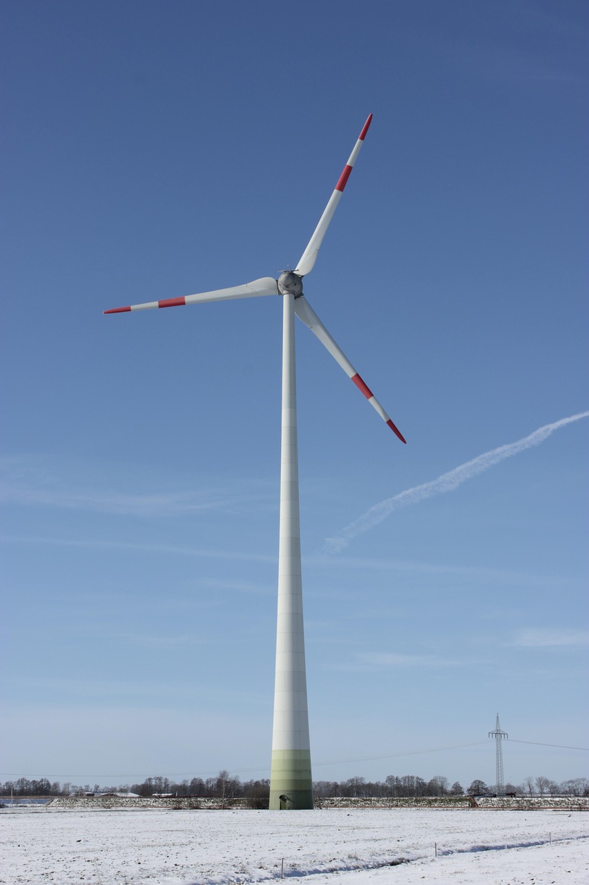 découvrez comment la durabilité façonne un avenir meilleur grâce à des pratiques écologiques, des innovations responsables et des solutions pour préserver l’environnement et les ressources pour les générations futures.