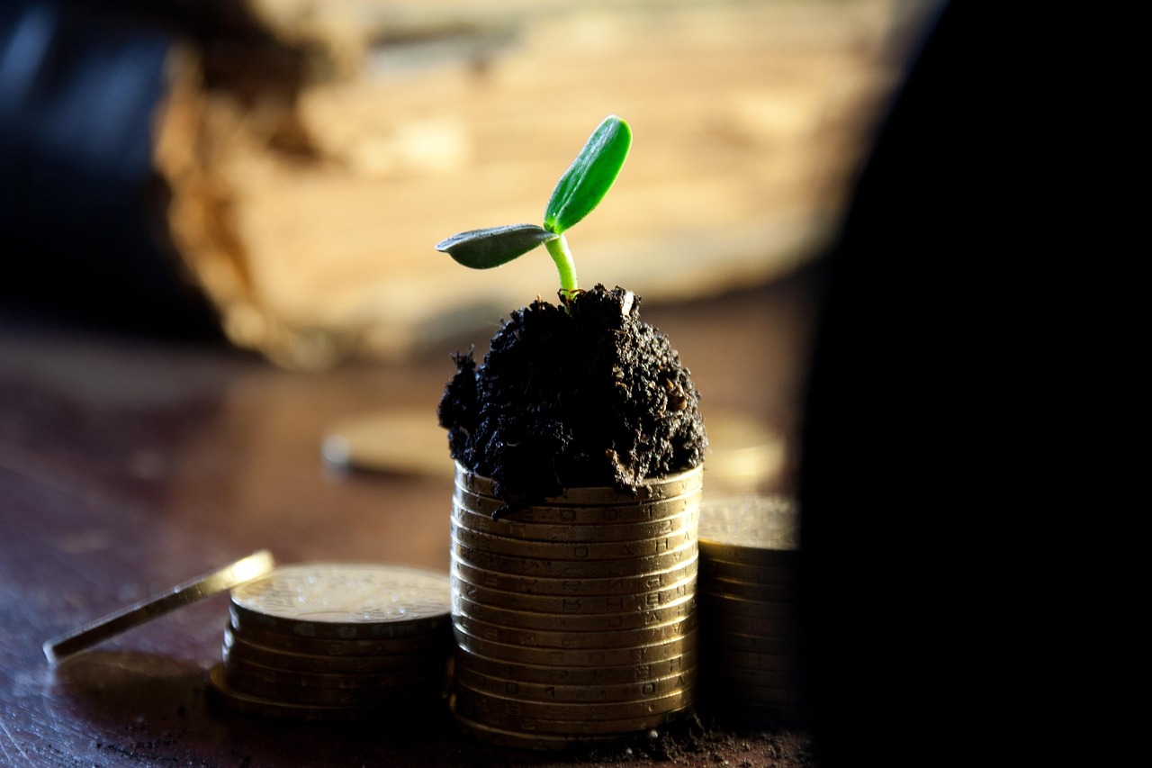 découvrez tout ce qu'il faut savoir sur les dividendes : définition, fonctionnement, fiscalité et conseils pour tirer le meilleur parti de vos investissements financiers.